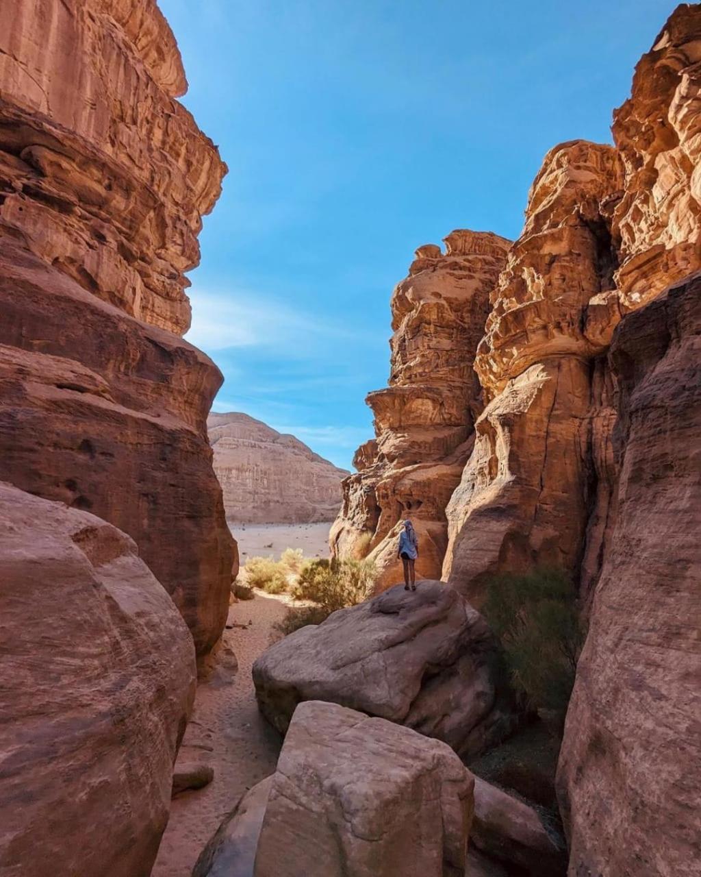 Rum Solaris Bubbles Camp Wadi Rum Extérieur photo